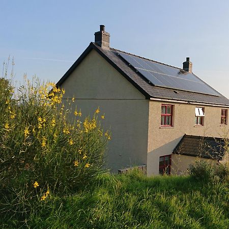 Treberfedd Farm Cottages And Cabins Lampeter Exterior photo