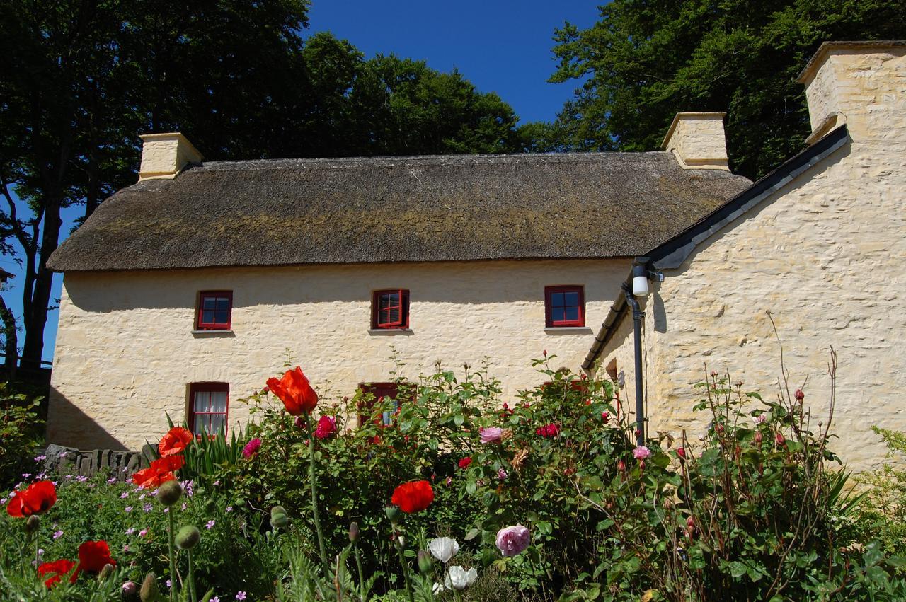 Treberfedd Farm Cottages And Cabins Lampeter Exterior photo